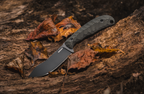 The Teton Skinner