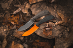 The Teton Skinner